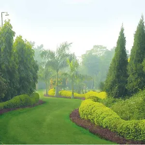 Resort Surjivan